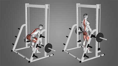 7 Tips For Perfect Deadlift Form On Smith Machine