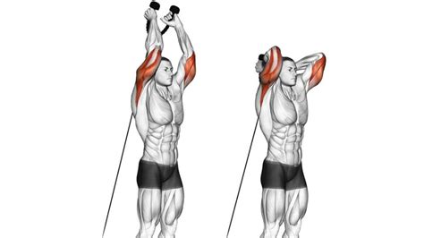 7 Tips For Perfect Tricep Overhead Extension Cable Form