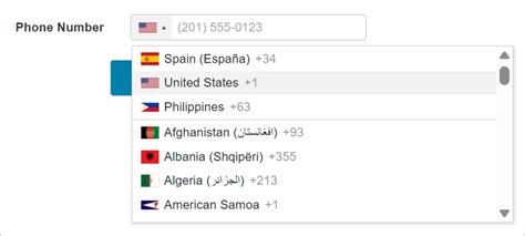 Add Country Code To Gravity Form Phone Number Field