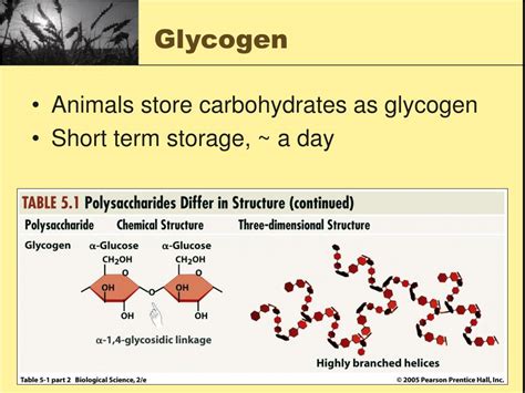 Animals Store Carbohydrates As Glycogen Or Starch