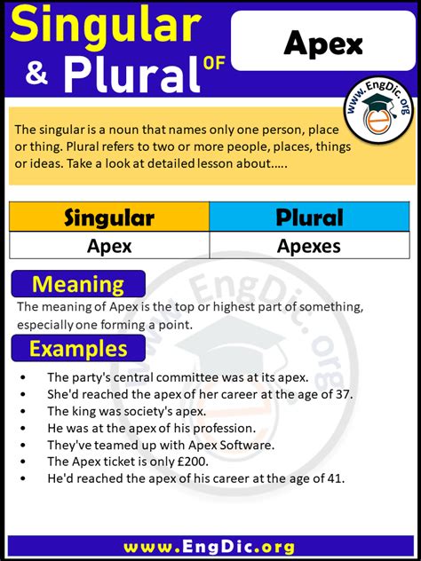 Apex Plural Form: What Is The Correct Usage