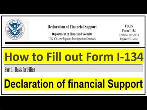 B2 Visa Sponsorship: Sample I-134 Form Guide