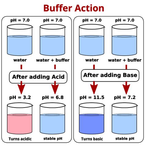 Buffer Solution Effectiveness: Which Pair Works Best