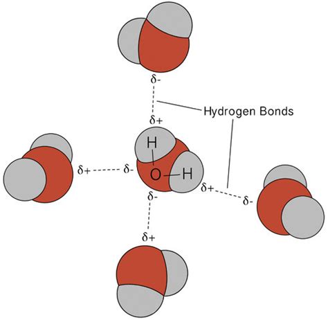 Can Hcl Form Hydrogen Bonds With Other Molecules Naturally