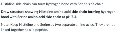 Can Histidine Form Hydrogen Bonds In Amino Acids