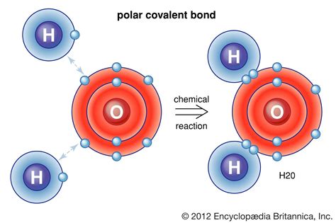 Can Metals Form Covalent Bonds Naturally