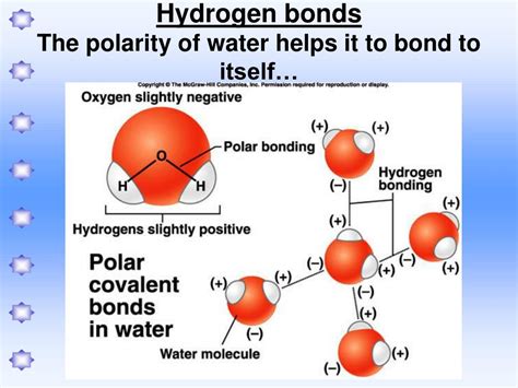 Can Polar Molecules Form Hydrogen Bonds