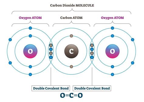 Carbon Atom Covalent Bonds Formation Limit