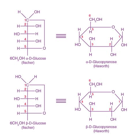 Cyclic Form Of Glucose: What You Need To Know