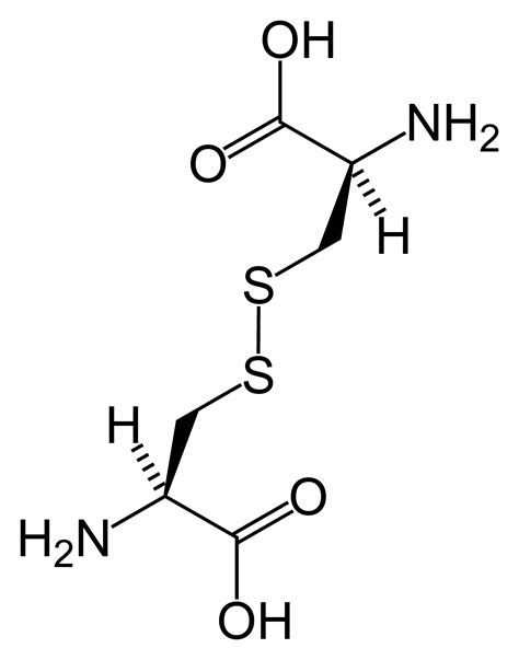 Cysteine: The Amino Acid Behind Disulfide Bonds