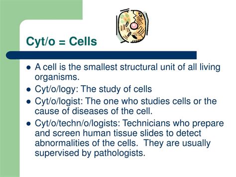 Cyt-O: Uncovering The Meaning Of Cell-Related Terms