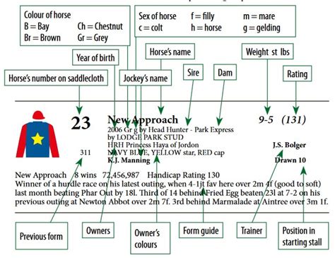 Decoding Horse Racing Form Guide Symbols