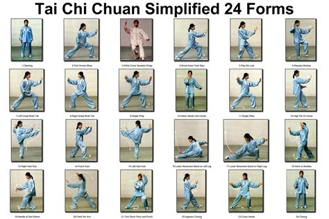 Discover Fan Form Tai Chi: A Beginners Guide