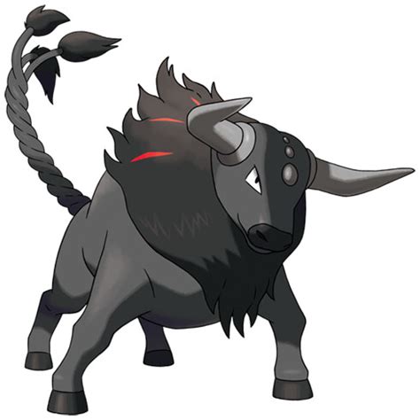 Discover Tauros Aqua Form: PokéMon Evolution