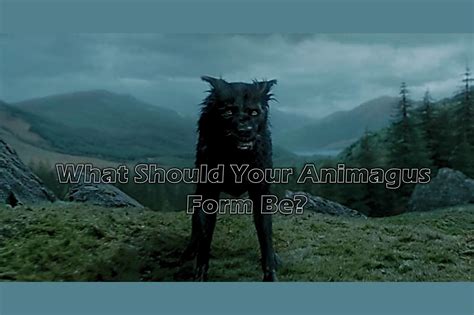 Discover Your Animagus Form: 7 Magical Possibilities