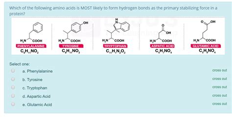 Does Phenylalanine Form Hydrogen Bonds