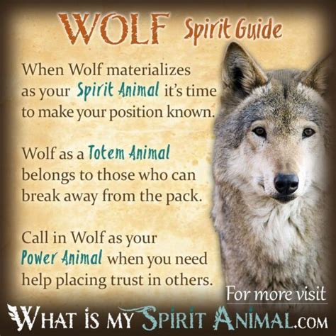 Dress Form Wolf: The Symbolism Behind The Mythical Creature