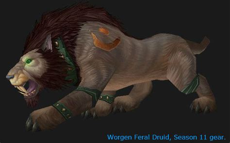 Druid Cat Form Guide Wotlk