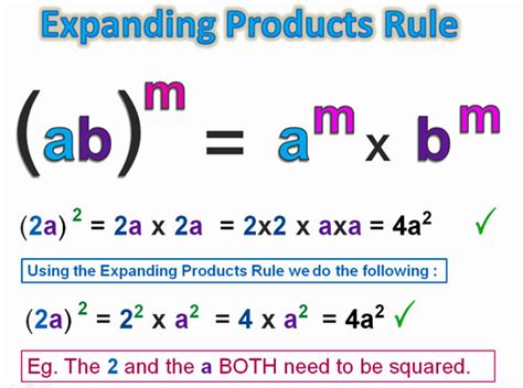 Expanding Exponents: A Simple Guide For Students