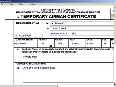 Faa Form 8060-14: Understanding The Airman Certificate Application