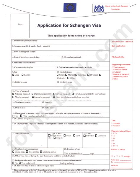 Fillable Schengen Visa Application Form Made Easy