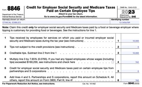 Form 8846 Instructions: A Step-By-Step Guide