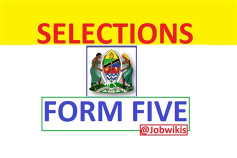 Form Five Selection 2023: Top Tamisemi Picks Revealed