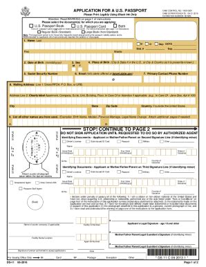 Get Ds 11 Form: Download Or Fill Online For Free