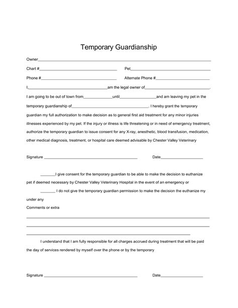 Get Temporary Guardianship In Colorado: 5 Essential Steps