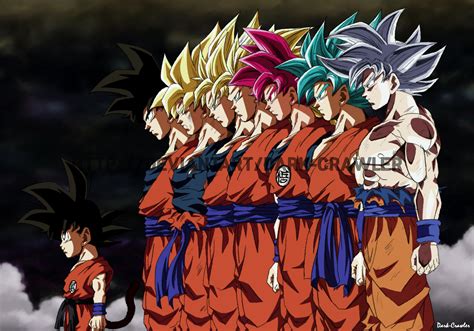 Gokus Transformations Unleashed