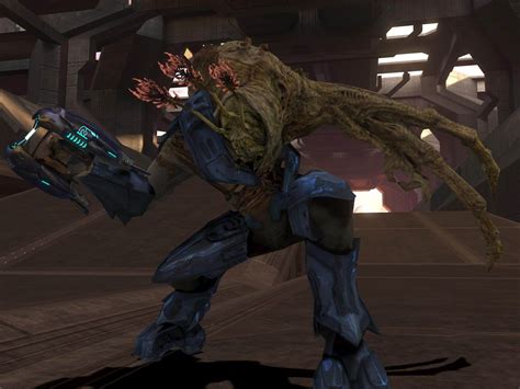 Halo Flood Combat Form: Unleashing The Parasitic Horror