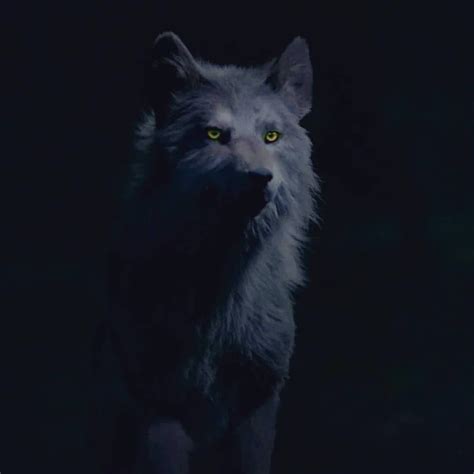 Hope Mikaelson Wolf Form Transformation Explained