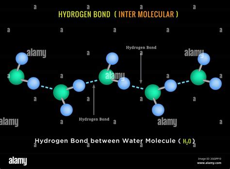 Hydrogen Bonds Between Water Molecules