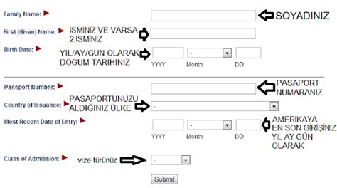 I 94 Formu Nedir Ve NasıL Doldurulur