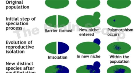 Interbreeding In Speciation: Forming New Species Through Hybridization