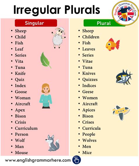 Irregular Plural Nouns: Singular To Plural Exceptions Revealed