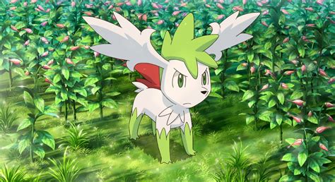 Is Shaymin Sky Form Worth Using In Pokemon Battles