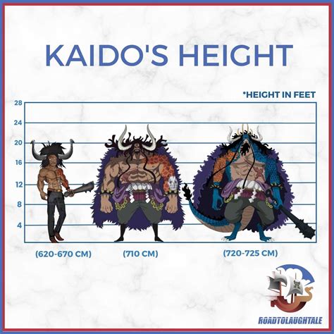 Kaidos Dragon Form Height Revealed