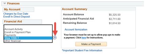 Kennesaw State University 1098-T Form: 5 Essential Facts