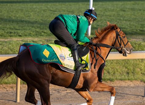 Kentucky Derby Racing Form Analysis And Predictions