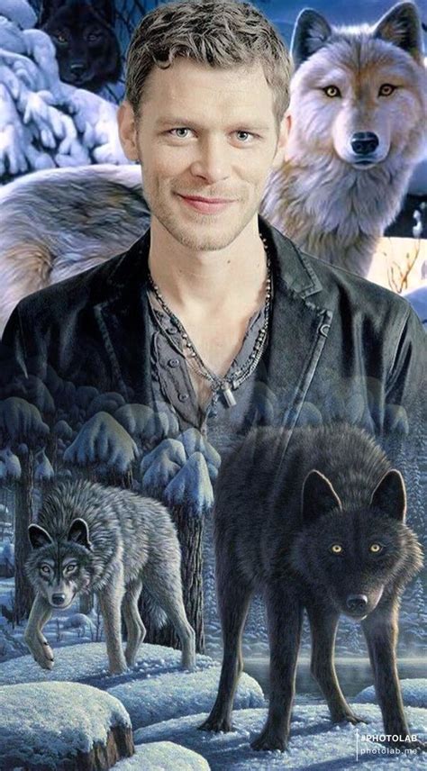 Klaus Mikaelsons Wolf Form: 5 Surprising Facts