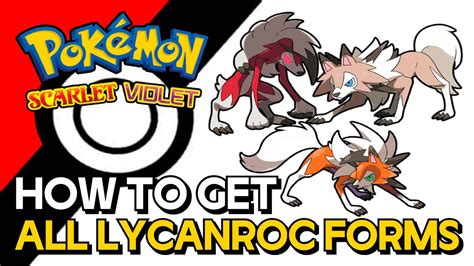 Lycanroc Midnight Form Evolution And Strategy Guide