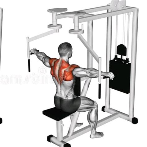 Master 5 Steps To Perfect Rear Delt Fly Machine Form