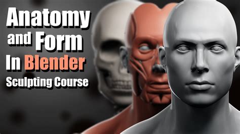 Mastering Anatomy And Form In Blender Sculpting