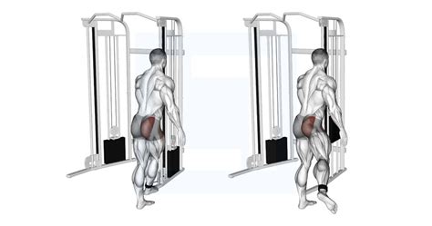 Mastering Gluteus Medius Kickback Form For Stronger Glutes