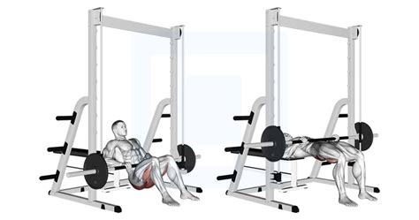 Mastering Hip Thrust Smith Machine Form