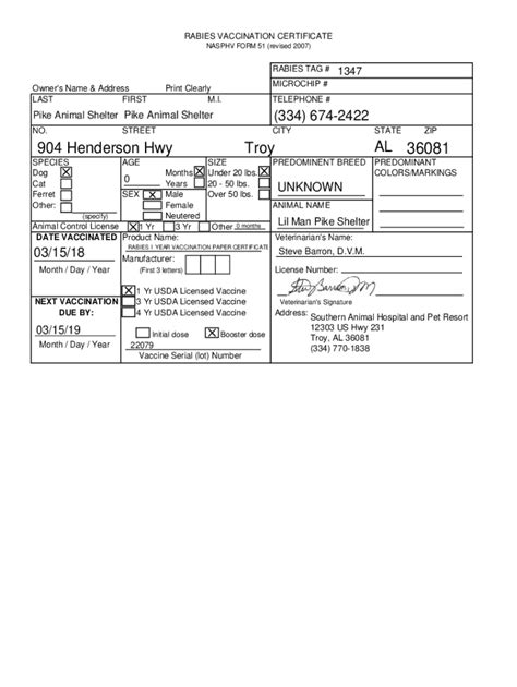 Mastering Nasphv Form 51: 5 Essential Tips