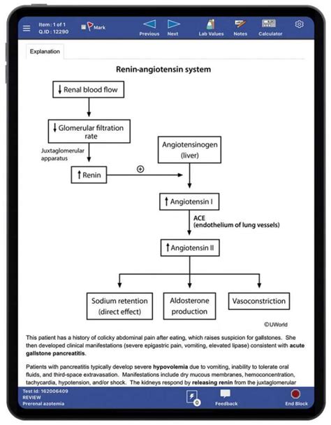 Mastering Nbme Form 11: A Comprehensive Study Guide