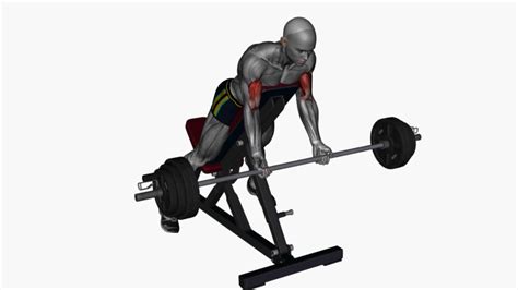 Mastering Spider Curl Form For Bigger Biceps