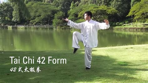 Mastering Tai Chi 42 Form: A Back View Guide